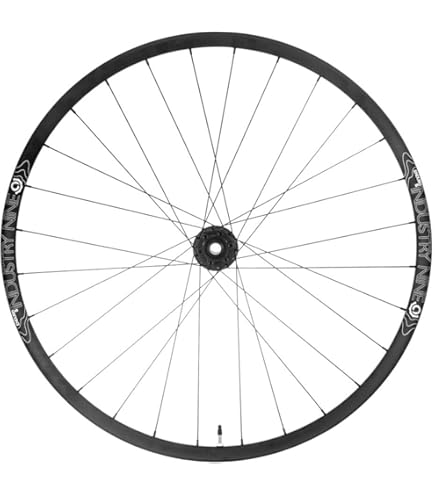 Amazon.com : Industry Nine- 1/1 - Enduro S Alloy Mountain Bike